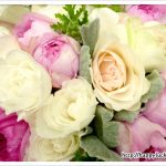 【ミニラボ】ベルメゾンで「カメラホルダー」を注文しました♪