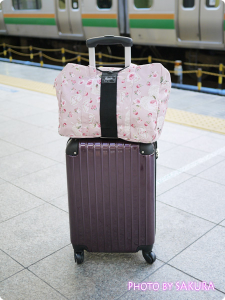 小型軽量スーツケース・機内持ち込みSサイズ【YKK・TSAロック】キャリーバッグ2日～3日旅行用【送料無料】　エコバックをつけてみた