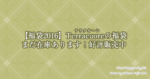 【福袋2016】Terracuore(テラクオーレ)の福袋、まだ在庫あります！好評販売中