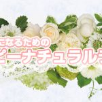 ブログSSL化（https化）のお知らせ