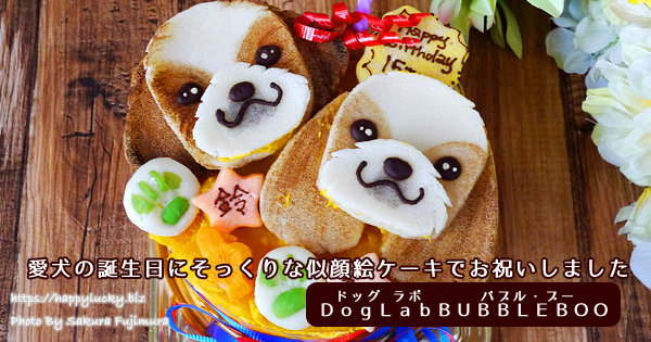 愛犬の誕生日にそっくりな似顔絵ケーキでお祝いしました【DogLabBUBBLEBOO（ドッグラボバブルブー）】