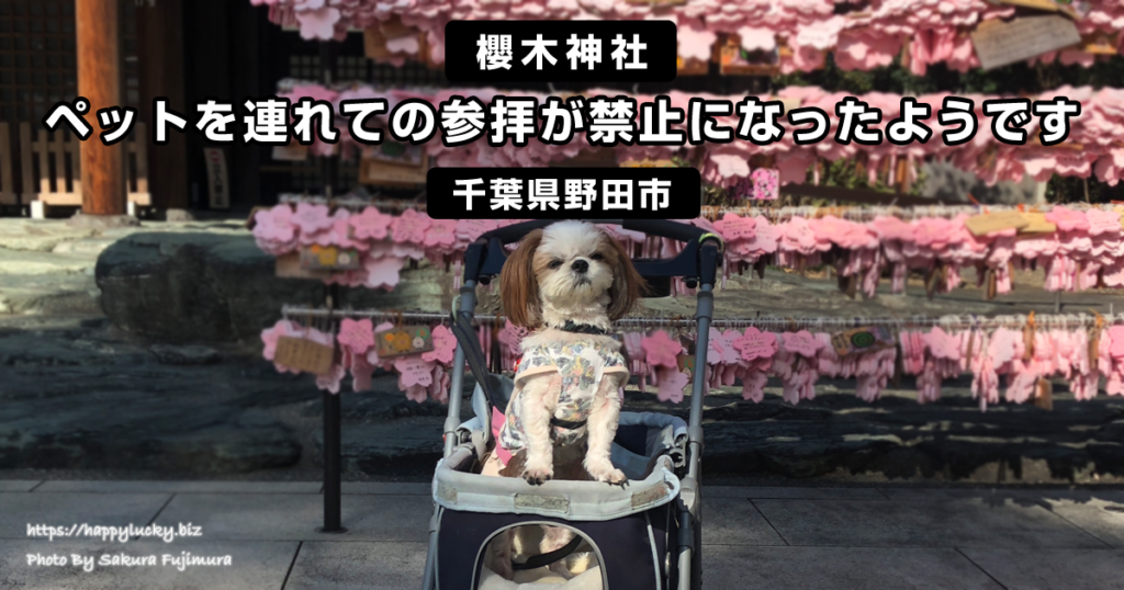 【櫻木神社】ペットを連れての参拝が禁止になったようです＜千葉県野田市＞